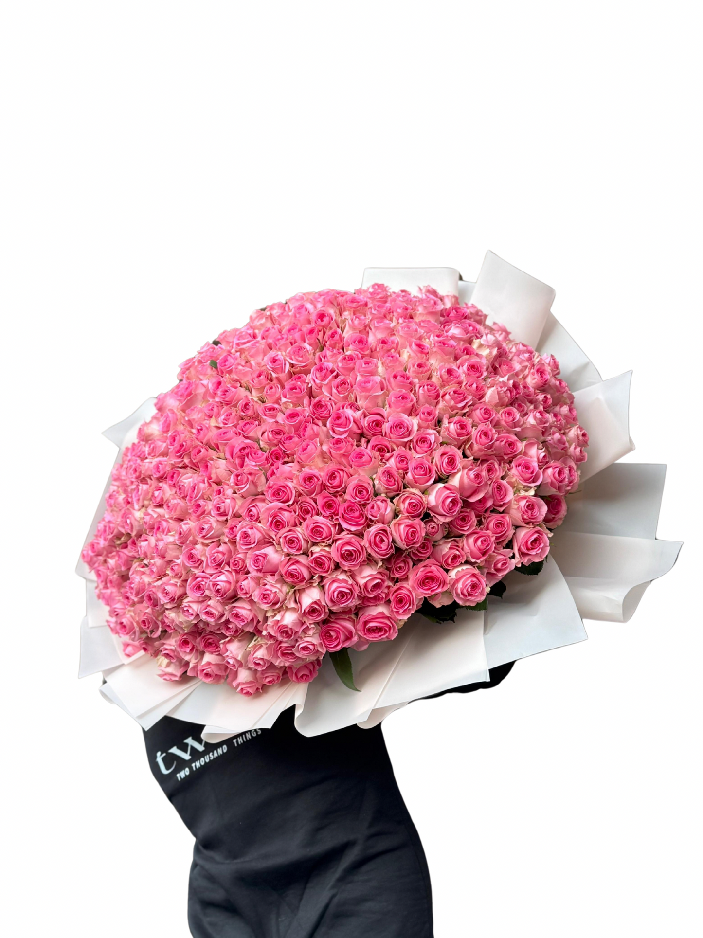 500 Rosy Wishes