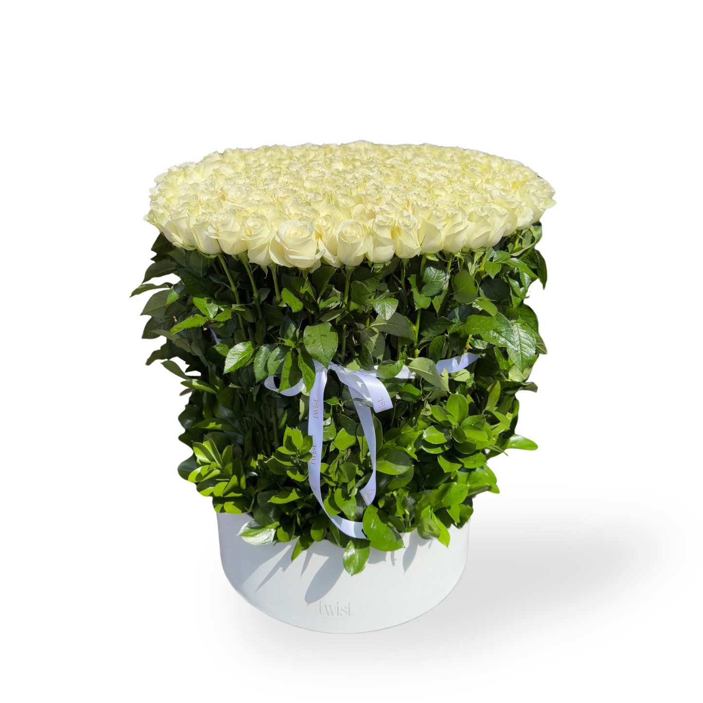 200 White Roses