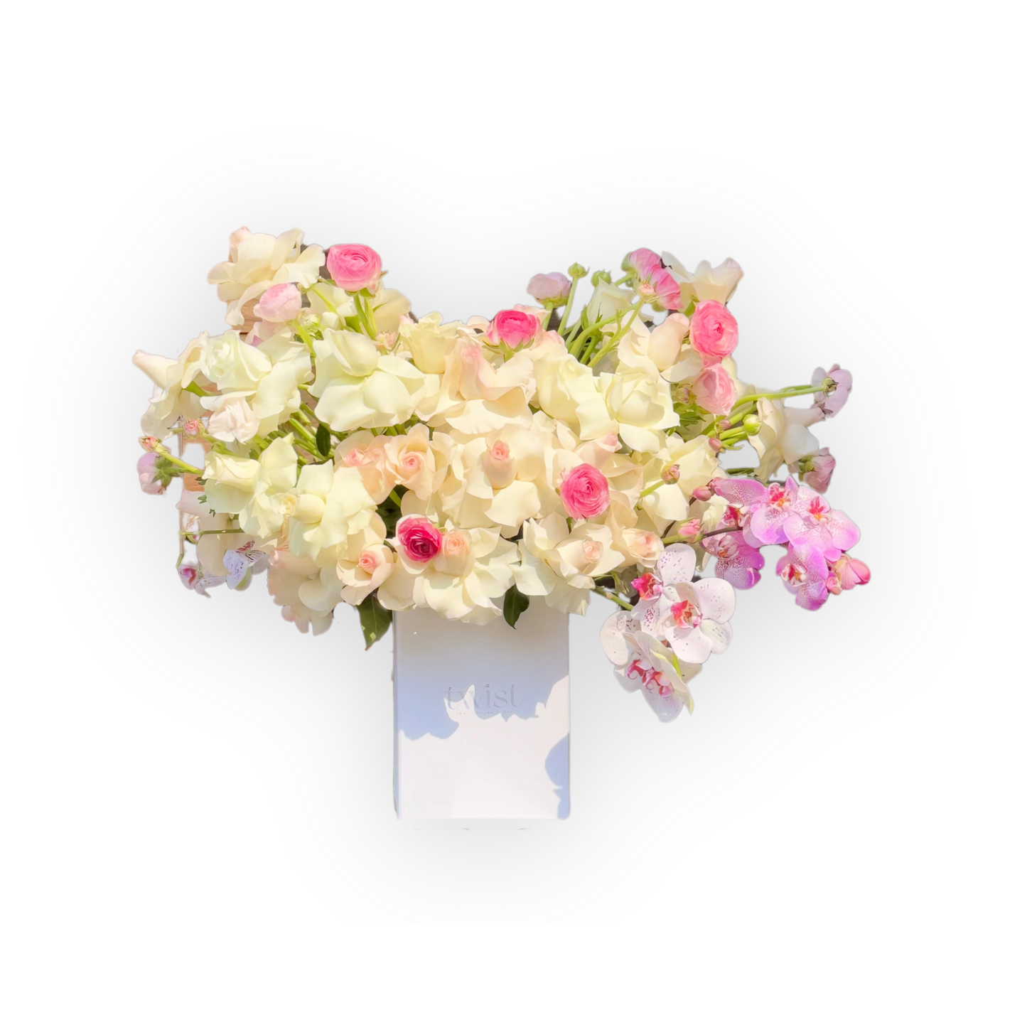 Rosé Orchid