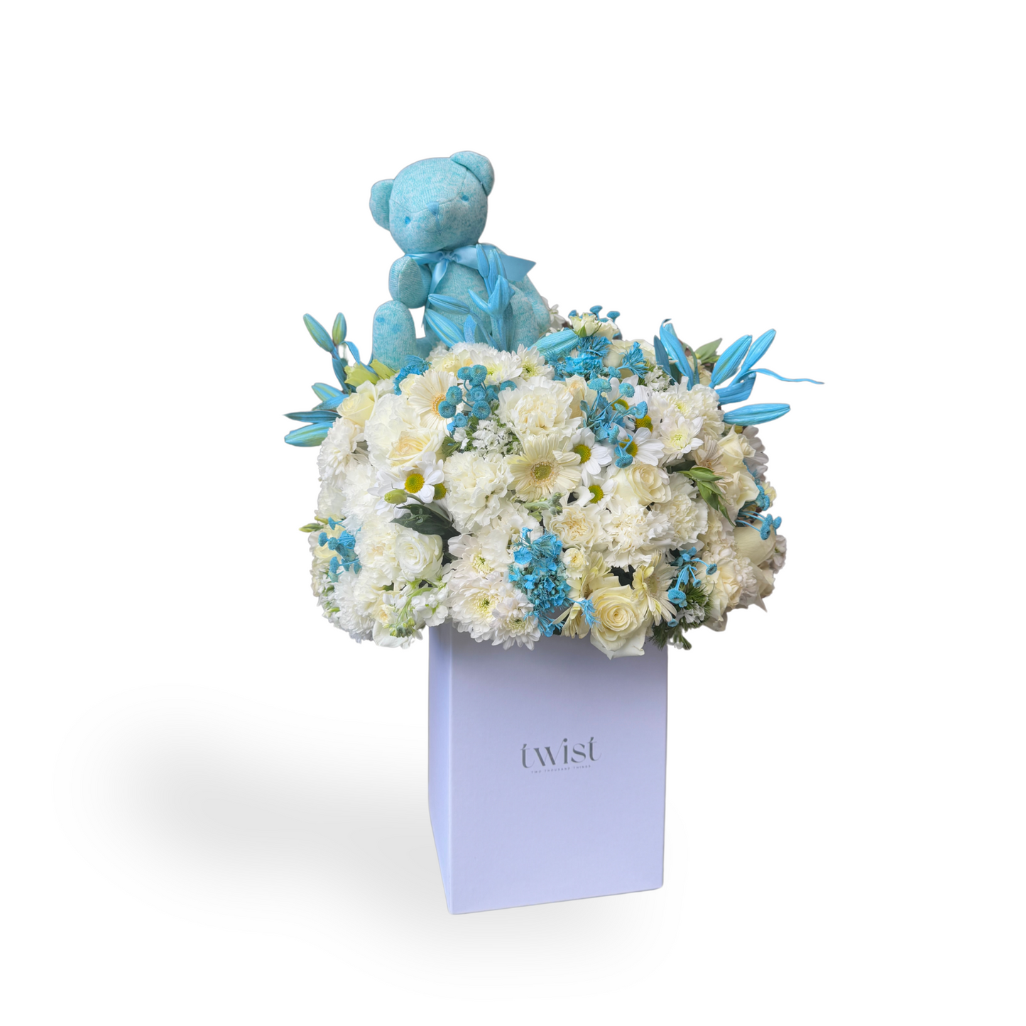 Teddy Blue Box