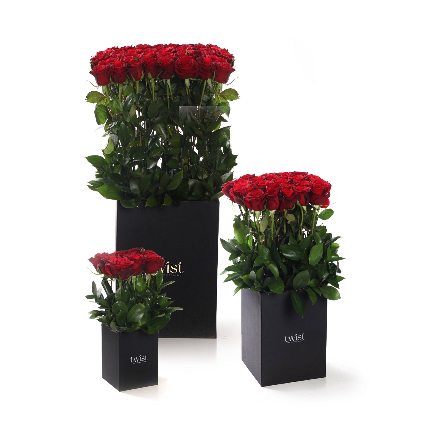 Amour in Roses