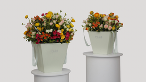 Pop Fleur Colorburst