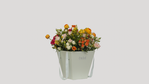Pop Fleur Colorburst