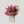 Mom’s Floral Bliss