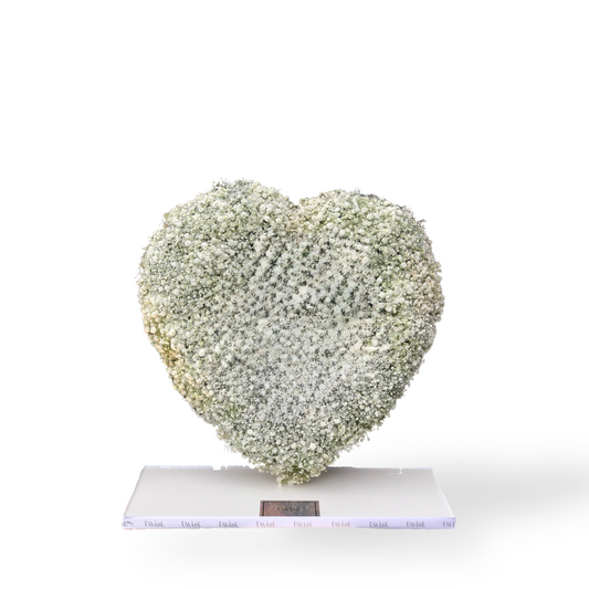 Pure Heart Gypsophila