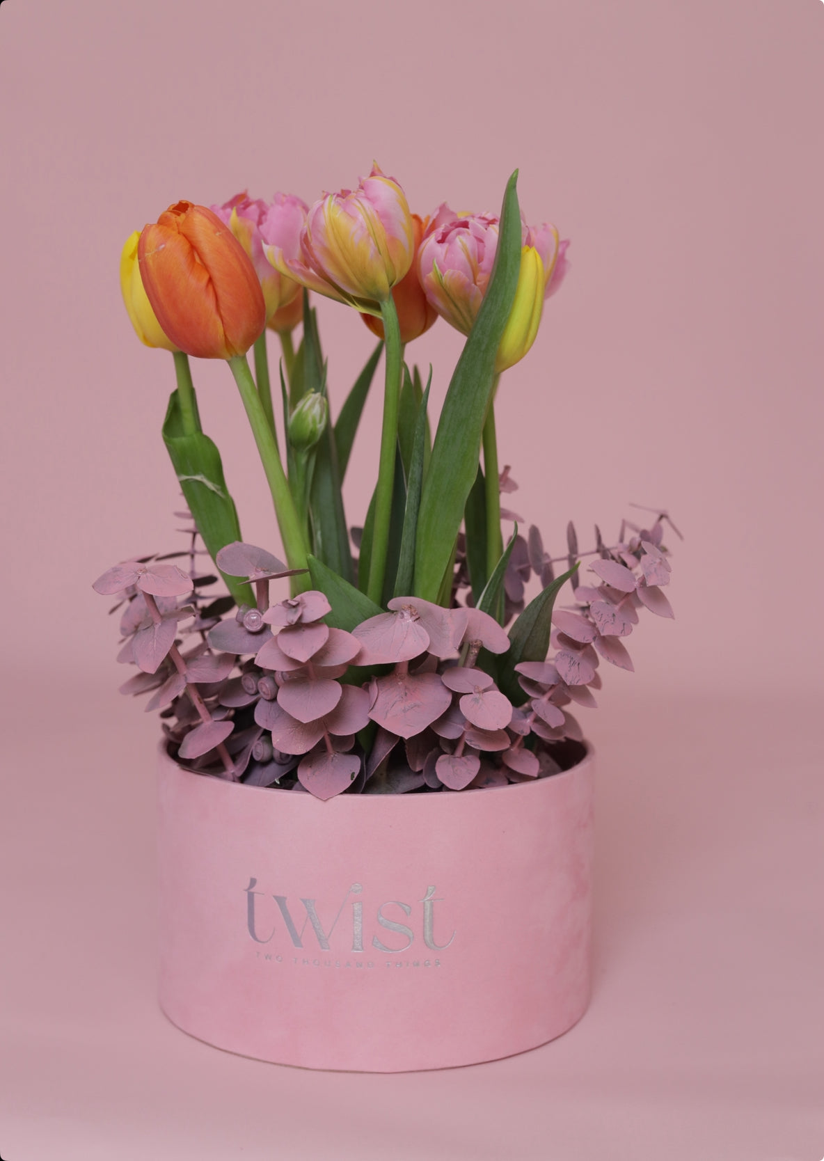 Mom’s Tulip - Velvet Pink