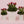 Mom’s Tulips