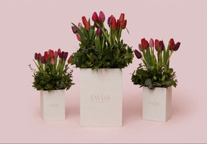 Mom’s Tulips