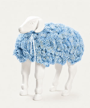 Twist Sheep