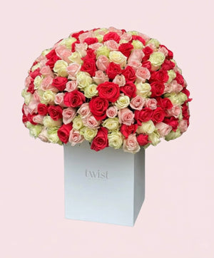 Cherished Colors Bloom