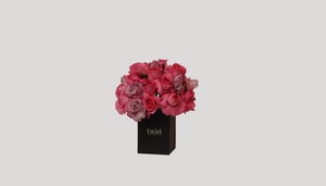 Sweet Roses