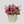 Pop Fleur Symphony