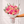 Vibrant Rose Bouquet