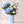Jeweled Blooms