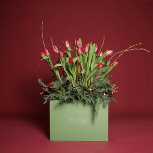 Jingle Tulips
