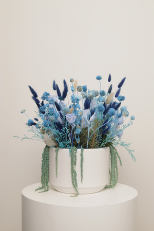 Blue in vase