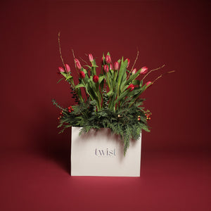 Jingle Tulips