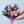 Lilac for Dad
