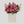 Mom’s Floral Bliss