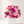 Birthday Petals