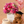 Pink Celebration Bundle