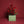 Noel Roses
