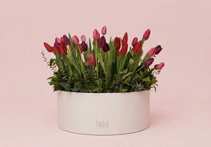 Le Cercle Tulips