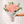 Blush Roses Bouquet