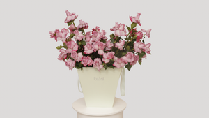 Pop Fleur Rosé