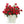 Pop Fleur Roses