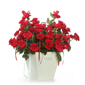 Pop Fleur Roses