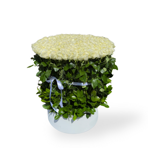 200 White Roses