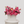 Mom’s Floral Bliss - White