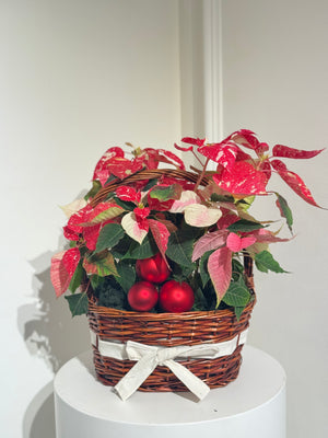 Poinsettia Basket