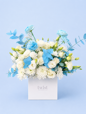 Baby Sky Balloon Box