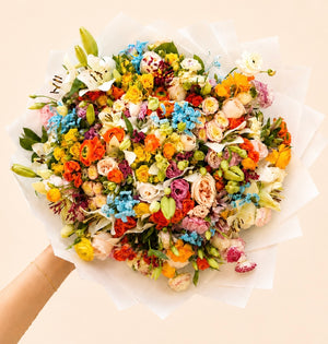 Cheers in Blooms