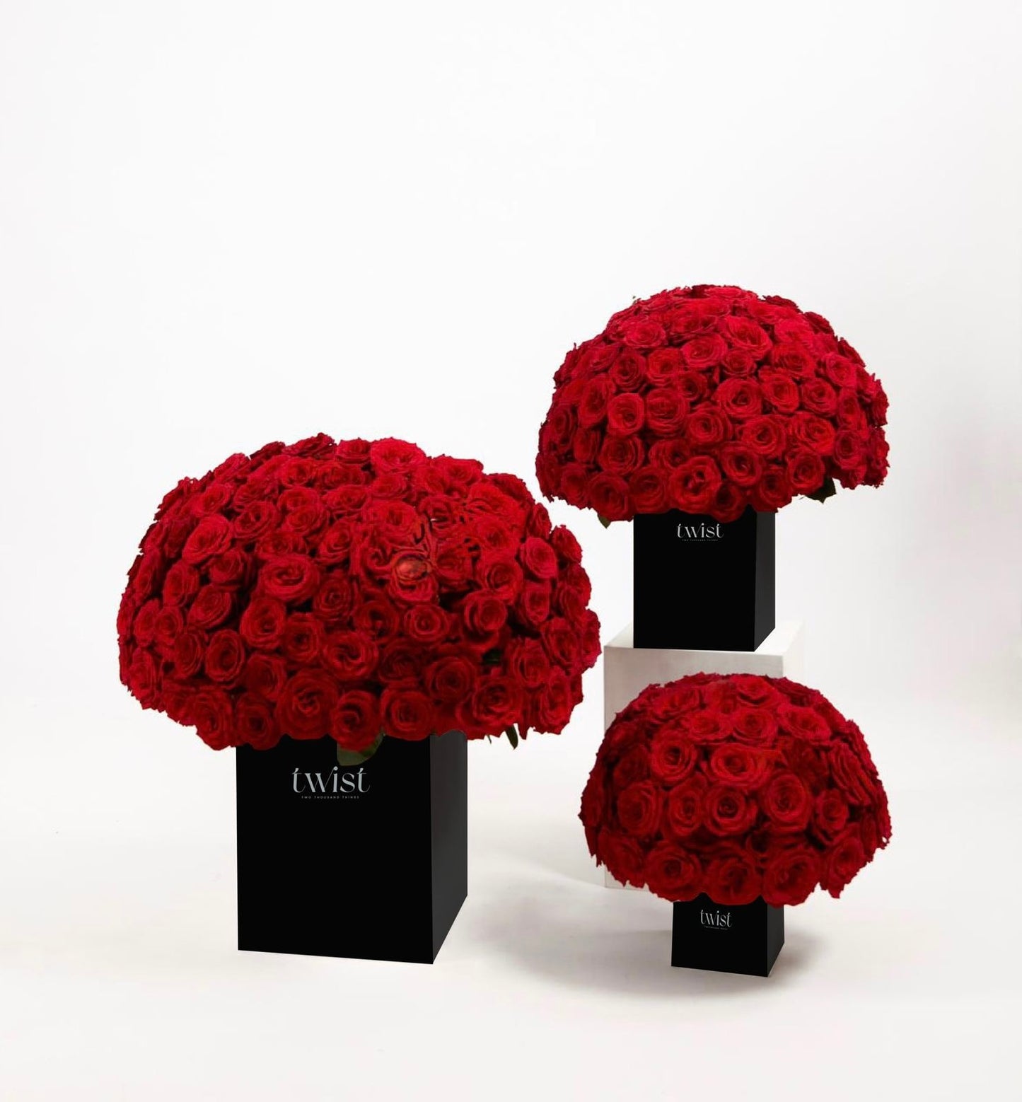 True Love Blooms