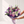 The Purple Bouquet