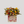 Mom’s Secret Garden - Fleurie