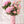Jeweled Blooms