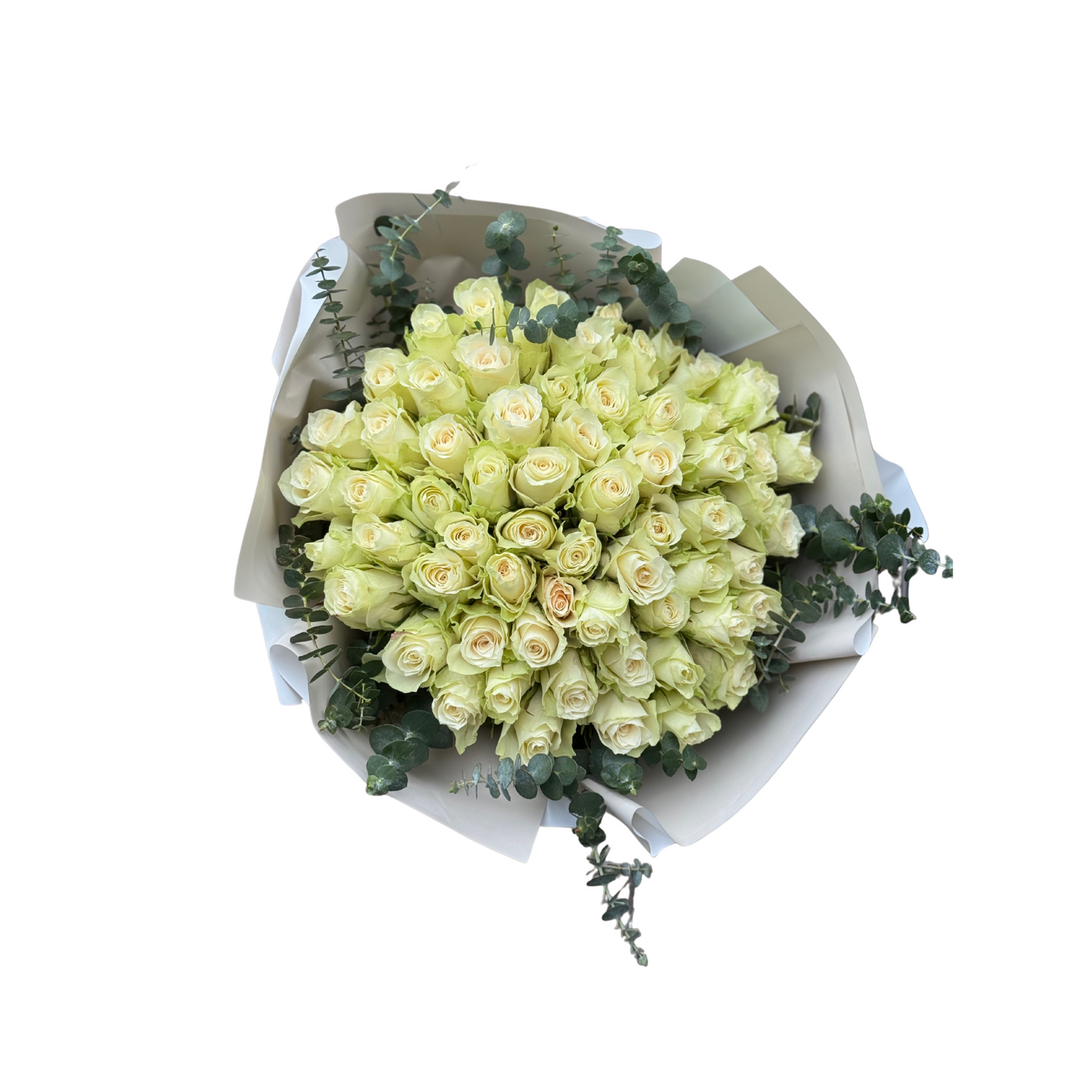 La Rose Blanche