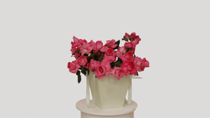 Pop Fleur Rosé