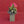 Jingle Tulips