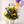 Porcelain garden bloom