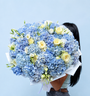 Blue Hydrangea Dream