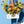 SuperHero Blooms