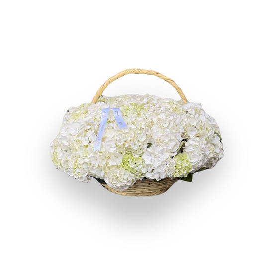The White Basket