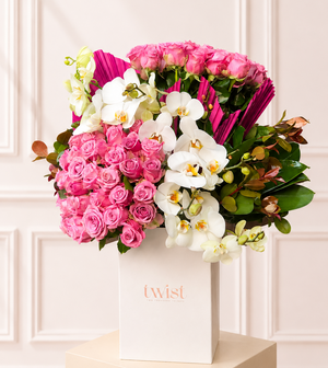 Rosé Orchid