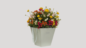 Pop Fleur Colorburst