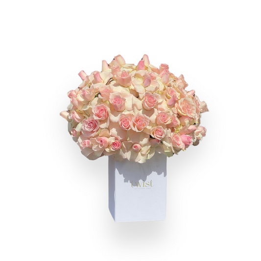 Baby Pink Box
